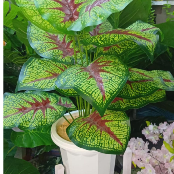 Artificial Plants in Kenya