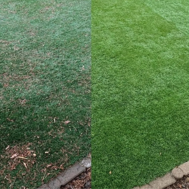 How to clean artificial grass in Kenya
